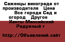 Саженцы винограда от производителя › Цена ­ 800 - Все города Сад и огород » Другое   . Ханты-Мансийский,Радужный г.